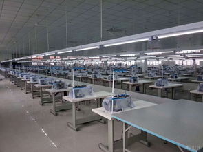 时尚与个性 衣着的多元表达